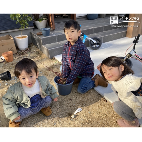 記念樹植樹中の様子