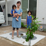 福岡県行橋市レモンの植樹風景
