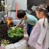 植樹中の様子