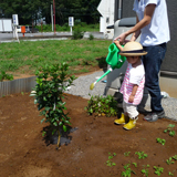 茨城県土浦市キンカンとイチジクとジューンベリーの植樹風景