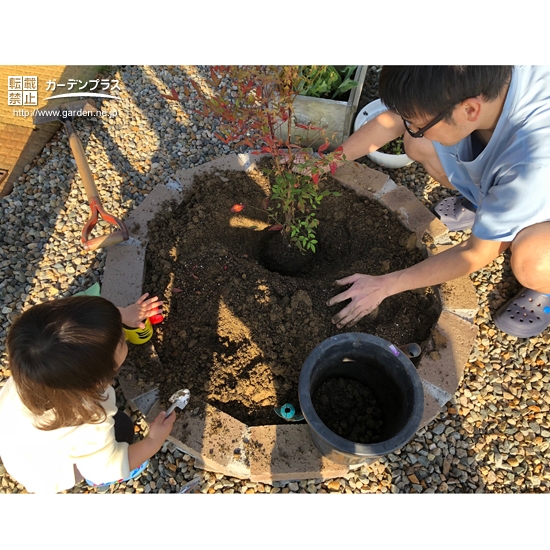 ナンテン植樹中の様子