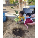 植樹後のレモンと記念撮影①