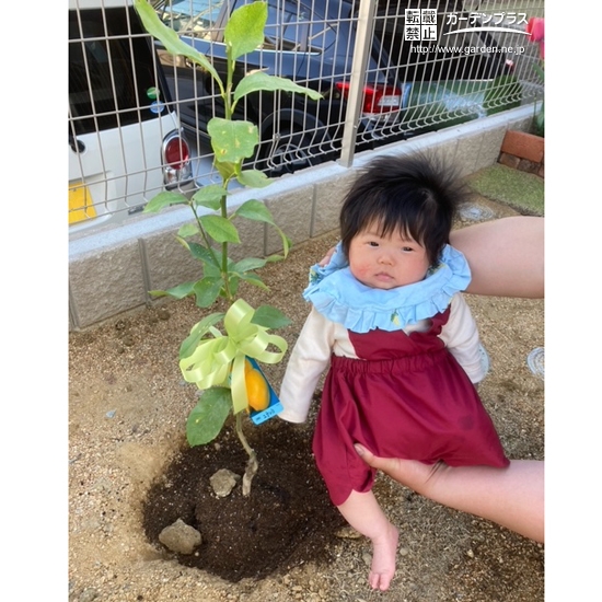 植樹後のレモンと記念撮影②