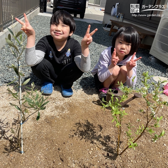 植樹後のオリーブ、ブルーベリーと記念撮影