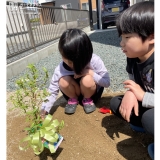 植樹後のブルーベリーと記念撮影