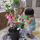 大阪府大阪市東淀川区キンモクセイの植樹風景