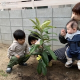 植樹後のビワと記念撮影