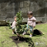 記念樹植樹の様子