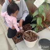 記念植樹の様子