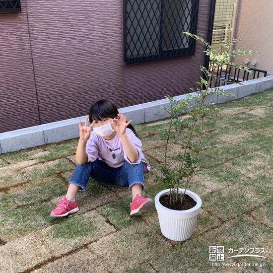 記念樹と記念撮影