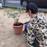 記念植樹の様子