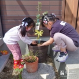 記念植樹の様子①