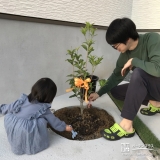 記念植樹の様子