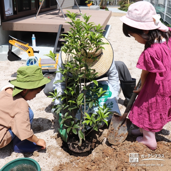 記念植樹の様子