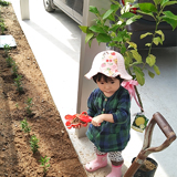 熊本県宇土市レモンの植樹風景