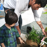 熊本県宇土市レモンの植樹風景