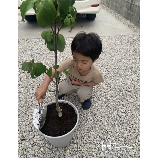 記念植樹の様子②