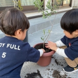 記念植樹の様子