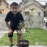 シマトネリコと記念撮影