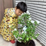 バイカウツギ植樹の様子