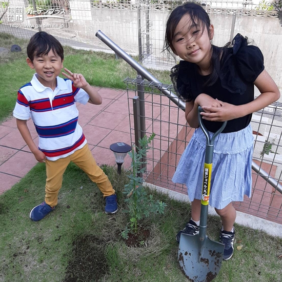 記念植樹の様子①