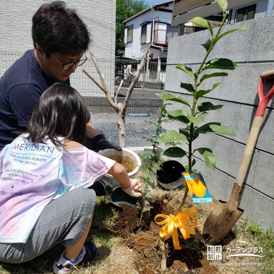 記念植樹の様子