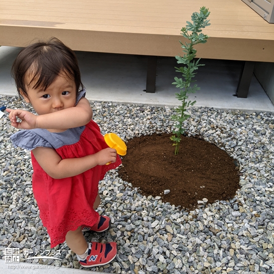 植樹後のミモザと記念撮影