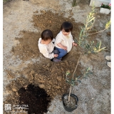 記念樹植樹中の様子②