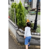 ジューンベリー植樹中の様子②