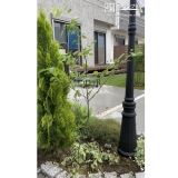 植樹後のジューンベリーの記念写真