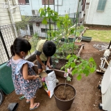 植樹後の記念樹と記念撮影④