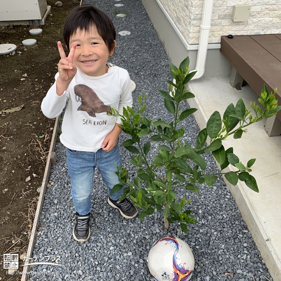 植樹後の温州ミカンと記念撮影