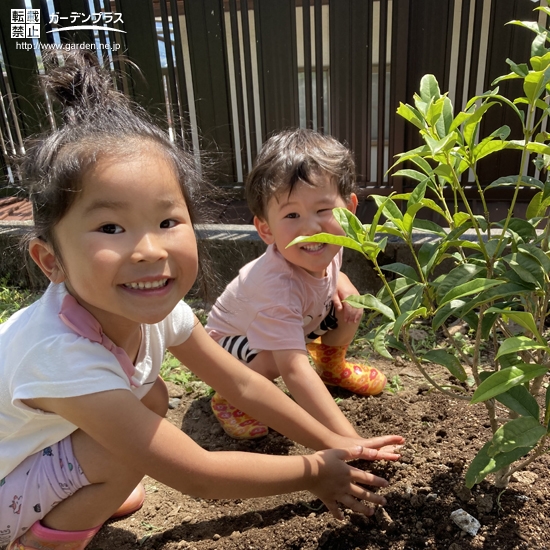記念樹植樹中の様子②