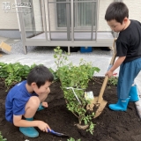 記念樹植樹中の様子