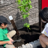 記念樹植樹中の様子②