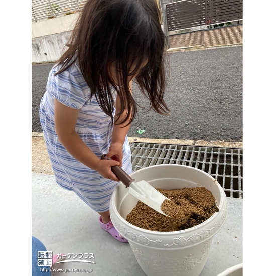 記念樹植樹中の様子