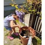 記念樹植樹中の様子②