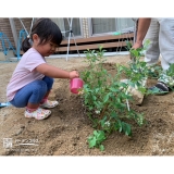 植樹後の水やり