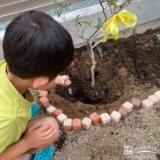 記念植樹の様子①