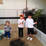 広島県府中市ジューンベリーとキンモクセイとセイヨウニンジンボクの植樹風景