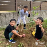 記念植樹の様子①