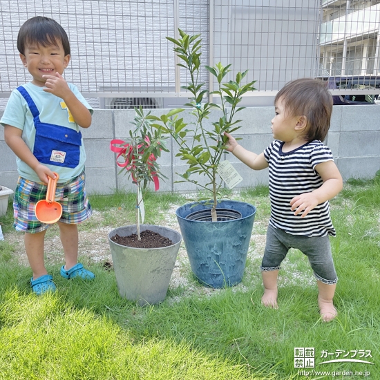記念植樹の様子①