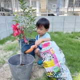 記念植樹の様子②