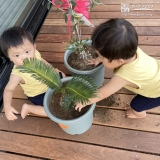 記念植樹の様子③