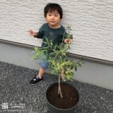 植樹後のオリーブと記念撮影