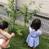 植樹後のジューンベリーと記念撮影