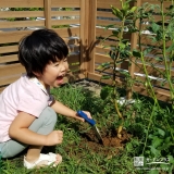 記念樹植樹中の様子②