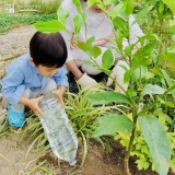 記念植樹の様子