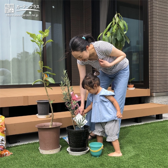 記念植樹の様子