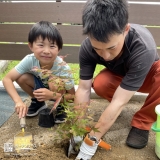 記念植樹の様子①